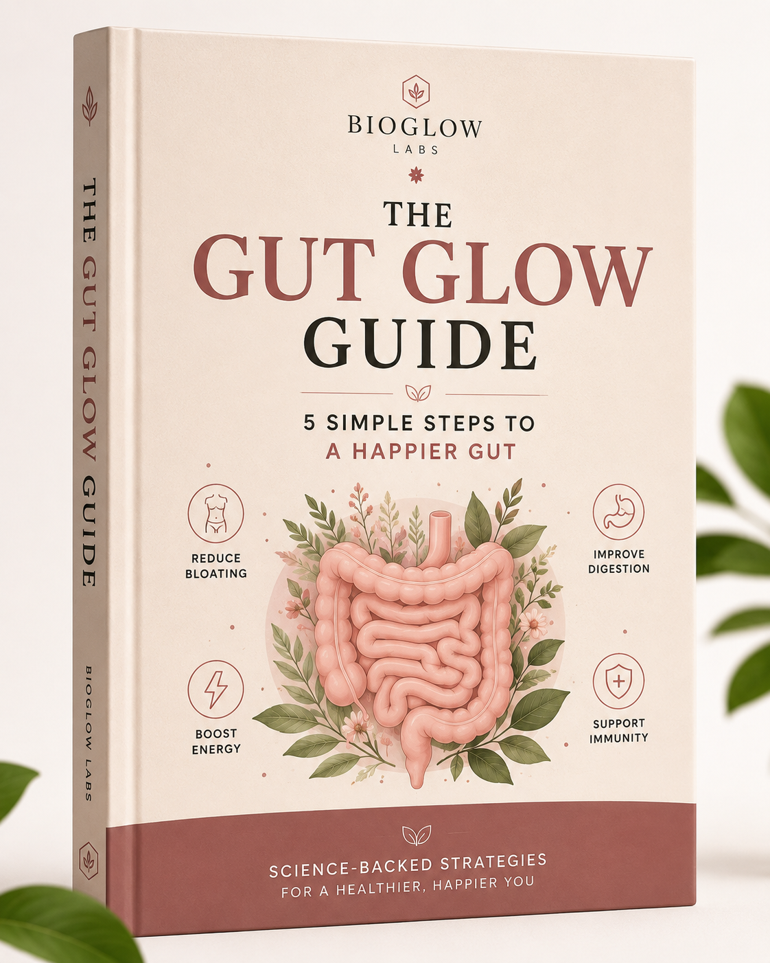 The Gut Glow Guide